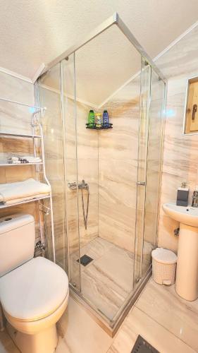 a bathroom with a shower with a toilet and a sink at Alpet in Vusanje