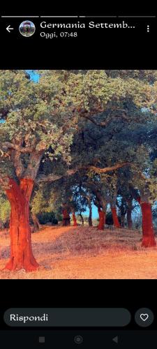 Galería fotográfica de B&B San Michele en Berchidda