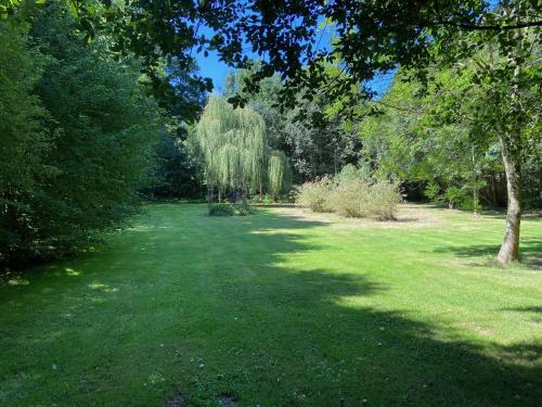 a field of grass with a tree and trees at Le Petit Étang in Passais-la-Conception
