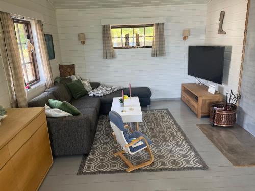 a living room with a couch and a tv at Cottage by the lake in Namsos in Fosslandsosen