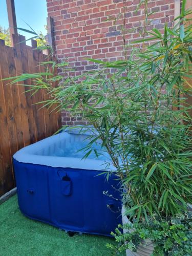 a blue tub sitting on the grass next to a plant at Le Vauban Cambrai in Cambrai