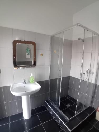 a shower with a sink and a tv in a bathroom at Karaj Hostel Apartment in Krujë