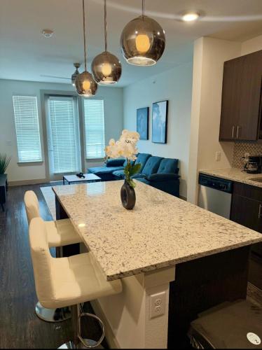 Χώρος καθιστικού στο Modern 1BR Dallas peaceful escape in the heart of Farmers Branch! Less than 20 minutes from Downtown Dallas, 15 from DFW ariport 15 from Grapevine