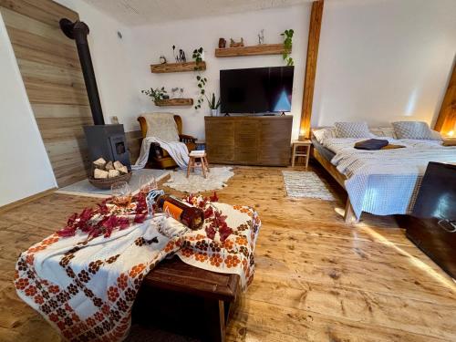 TV a/nebo společenská místnost v ubytování Roots & Nest Cottage Liptov