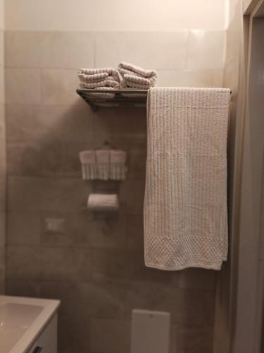 a bathroom with a shower with towels on a shelf at Il sentiero delle fate in Caserta
