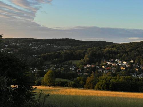 a town in the middle of a valley with trees at Villa Rose-Ruhige Ferienwohnung in Wien Nähe 