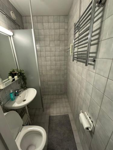 a bathroom with a toilet and a sink at Hotelli Terme, huone 617 in Ikaalinen