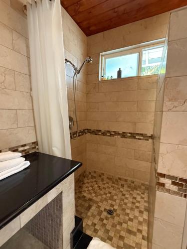 Un baño con ducha con cortina de ducha. en Luxury king studio 20 min to Malibu beaches, en Woodland Hills