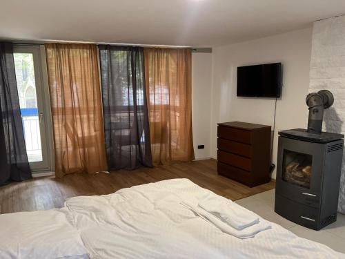 a bedroom with a bed and a fireplace and a television at Kaune Apartments Balkon Freies Wlan Kostenlose Parkplätze in Sarstedt
