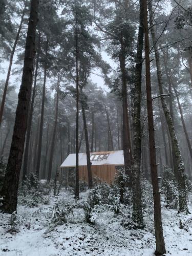 a cabin in the woods in the snow at HATTA Las in Gąsiorowo Duże