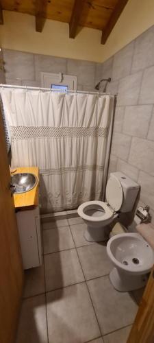 a bathroom with a toilet and a sink and a shower at Las Golondrinas in Trevelín