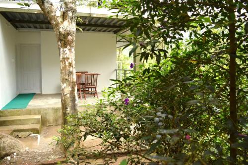 Jardín al aire libre en Solitude Munnar - Tree house