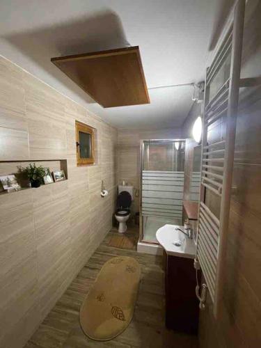 a bathroom with a sink and a toilet at La Sava lui Traian in Gârda de Sus