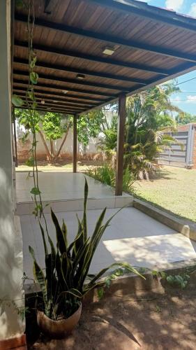 a plant in a pot sitting under a pergola at Lovely Home Near the Airport and Business District in Luque