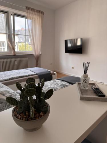 a room with a table with a potted plant on it at Stadtnest Mayen - stilvoll & zentral in Mayen