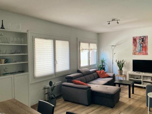 F2 de 50m2 climatisé au centre-ville