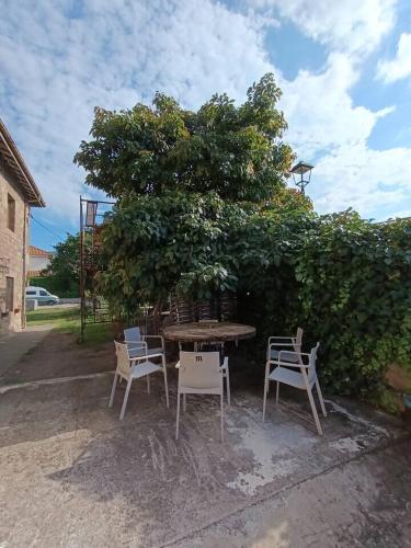 a picnic table and chairs under a tree at Habitación Doble Rosa Baño Privado Cartes in Cartes