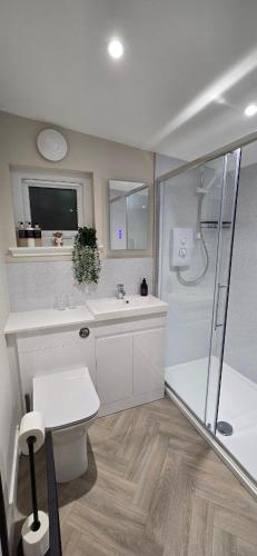 a bathroom with a shower and a sink and a toilet at Breagha Cabin, Spean Bridge, near Fort William in Spean Bridge