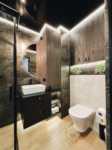 a bathroom with a toilet and a sink at Apartament WROTA DO PUSZCZY Z SAUNĄ in Hajnówka