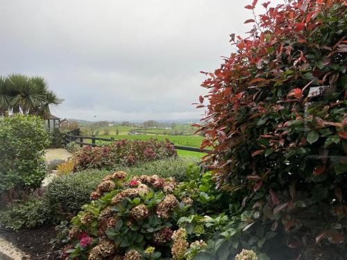 Zahrada ubytování Cosy Countryside Apartment near Belfast