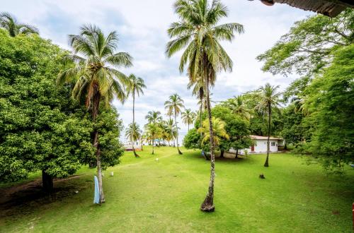 a field with palm trees in a park at Hotel Isla Grande in Colón