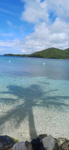 a shadow of a person standing in the water at Studios Becassine et Tangara Domaine de Belfond St Anne in Sainte-Anne