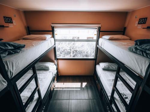 Letto o letti in una camera di Folk Hostel