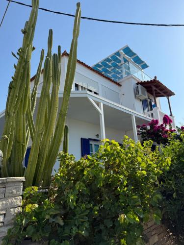 a white house with a cactus in front of it at Jenny Apartments in Karlovasi
