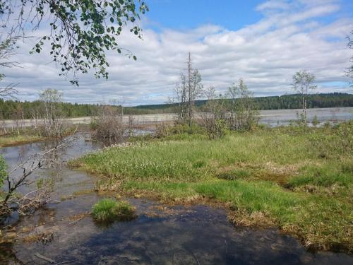 a field with a river with grass and trees at 4 person holiday home in KROKOM-By Traum in Krokom
