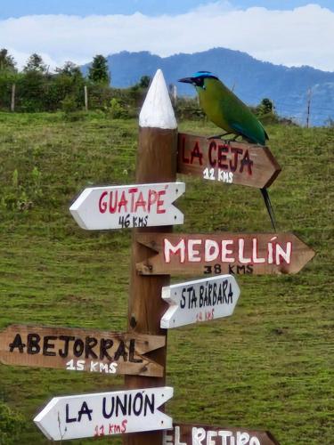 a bird is standing on a sign with arrows at Valle Sereno, Hospedaje rural cerca del Salto del Buey in Abejorral