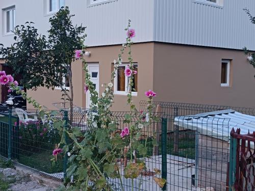 a fence with pink flowers in front of a house at Mona apartman in Žabljak