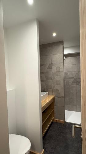 a bathroom with a toilet and a shower at Maison Cœur Clarée in Névache