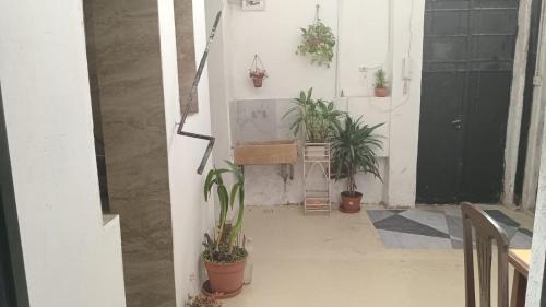 a hallway with potted plants and a black door at Casa en Chacarita in Buenos Aires