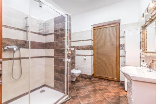 a bathroom with a shower and a toilet and a sink at Penzion Šejby in Horní Stropnice
