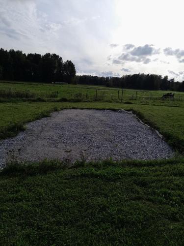 a gravel field with a horse in a field at Lotta´s Cottage in Rimbo