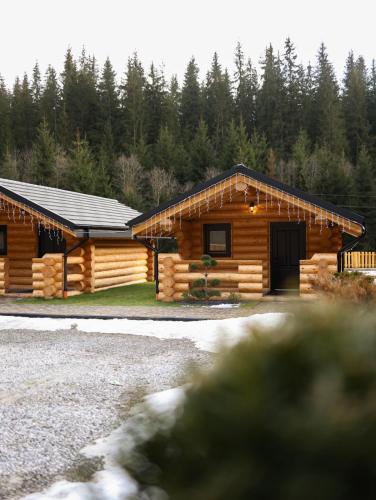 a log cabin in the woods with a garage at Hanul și Păstrăvăria Țibău in Cîrlibaba