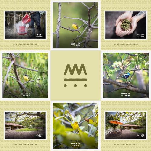 a collage of pictures of trees and flowers at Granja Autosostenible Monte Real in La Mesa