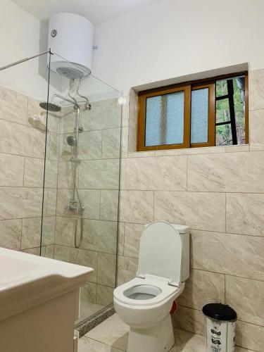 a bathroom with a toilet and a glass shower at Villa Gimi in Gjirokastër