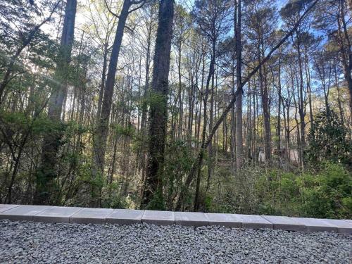 a stone walkway in the middle of a forest at The Modern Metal Oasis in Woodstock