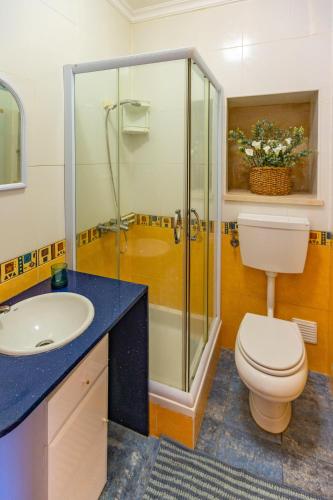 a bathroom with a toilet and a glass shower at Casa De Campo Natureza in Porto de Mós
