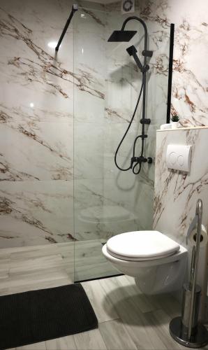 a bathroom with a toilet and a glass shower at Apartments Florian in Lopud Island