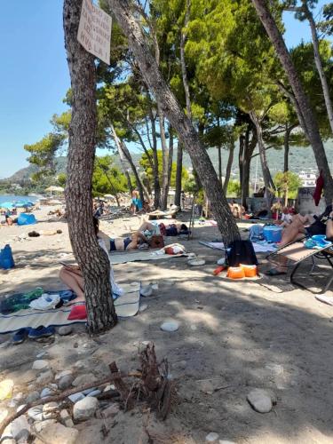 a group of people laying on the beach under trees at Apartman Adriatico 10 in Bar, Susanj