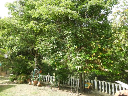 a tree with oranges on it next to a fence at Granja Autosostenible Monte Real in La Mesa