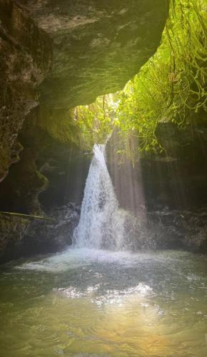a waterfall in the middle of a river at Tetebatu flower in Tetebatu