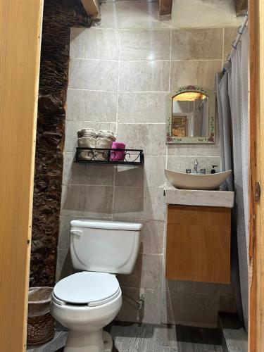 a bathroom with a toilet and a sink at Los Catorce in Real de Catorce
