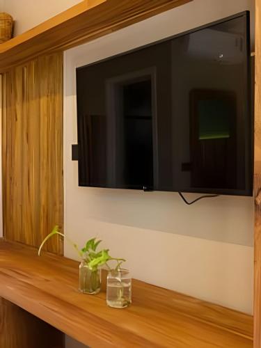 a television on a wall with two plants on a shelf at MAR DÁ LIBERDADE com Amerigo Vespucci in Morro de São Paulo