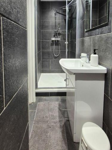 a bathroom with a toilet and a sink and a shower at Modern Central Flat with Garden & Parking in Southampton