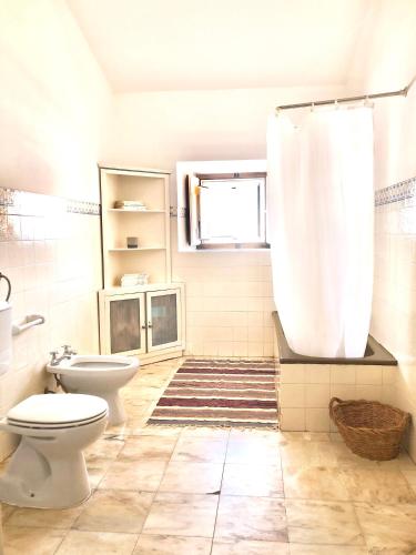 a bathroom with a toilet and a shower curtain at Monte da Oliveirinha in Évora