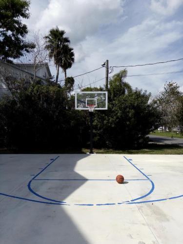 a basketball hoop with a ball on a court at Waterfront and Gulfview Retreat Hernando Beach in Hernando Beach