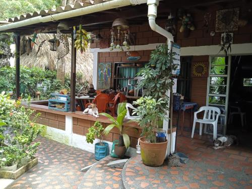 Κήπος έξω από το Villa Vilma